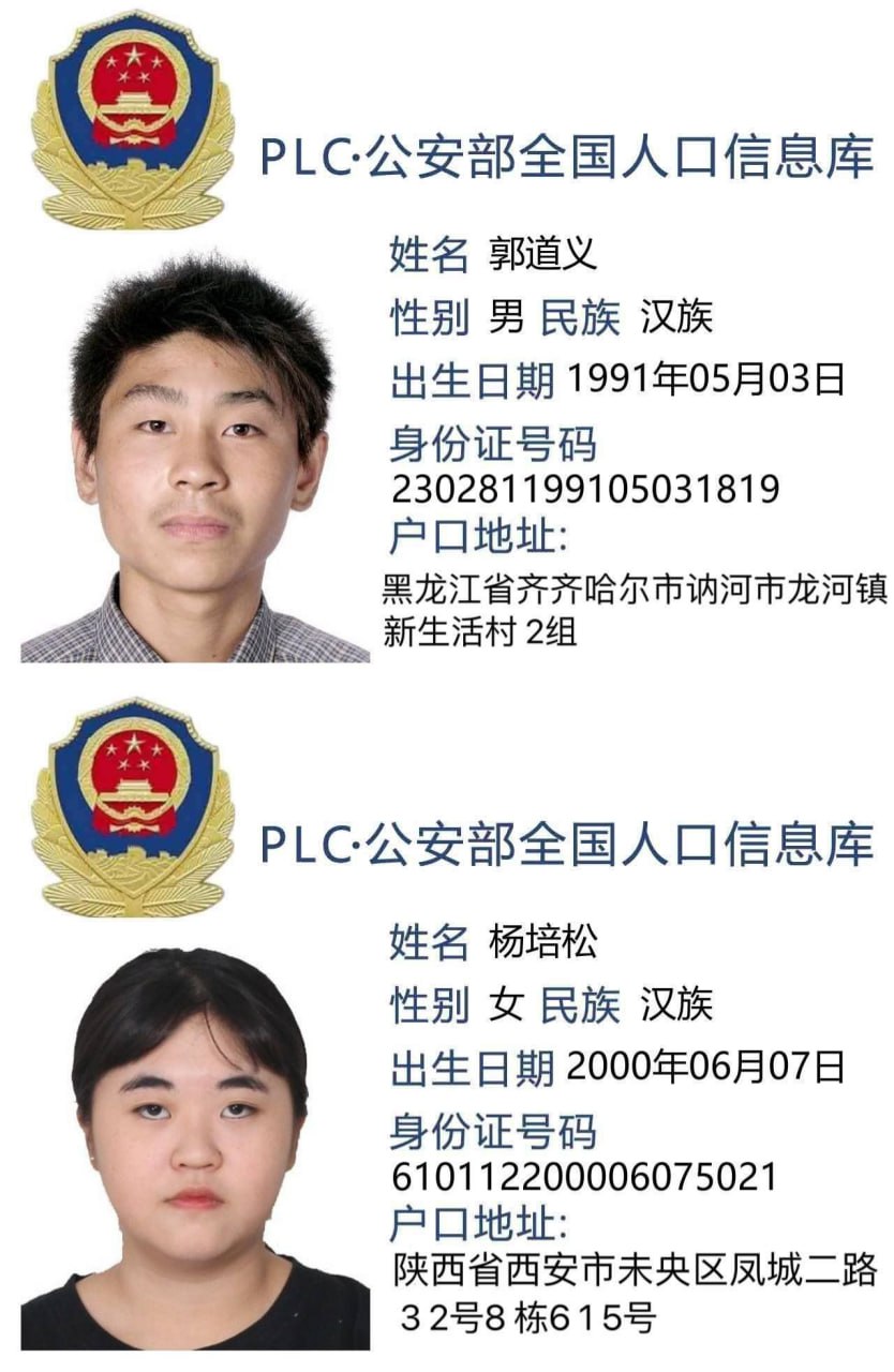 迪拜 狗盘总 道义